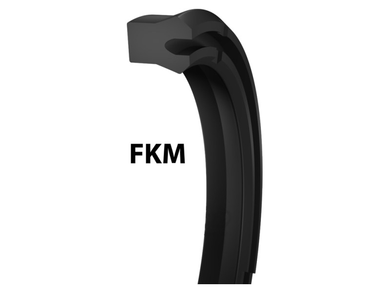 IUH Nutring – FKM