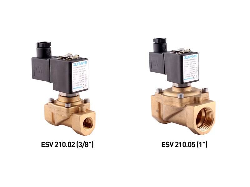 Buhar Solenoid Valf – Sıfır Fark Basınç, Pilot Kumandalı (3/8"–1")